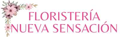 FloristeriaNuevaSensacion.com
